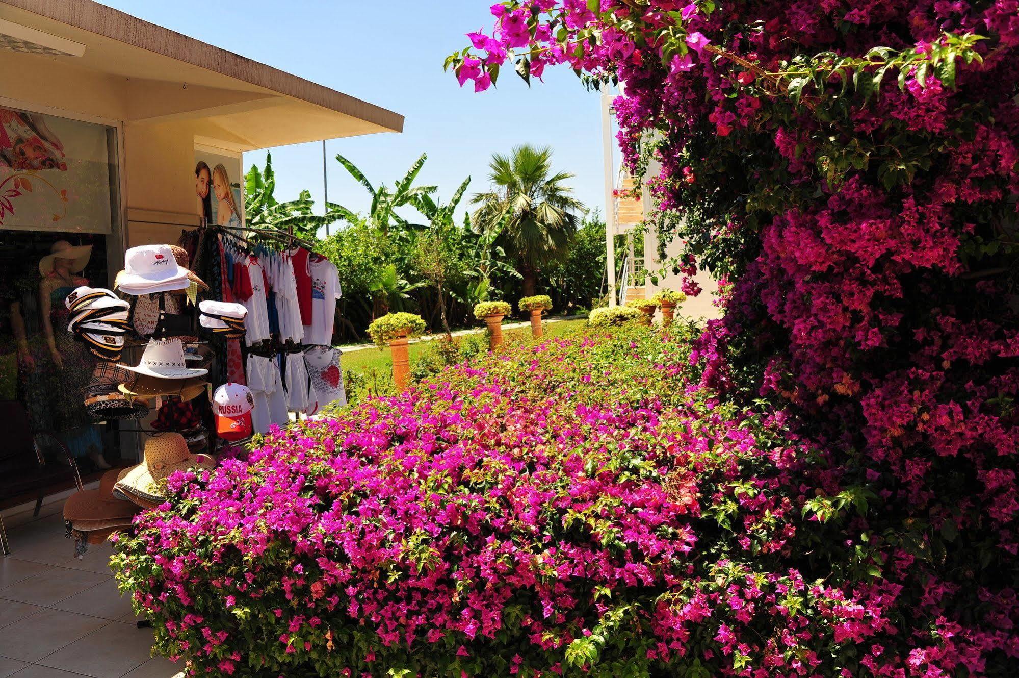 Daima Resort Hotel Kemer Bagian luar foto